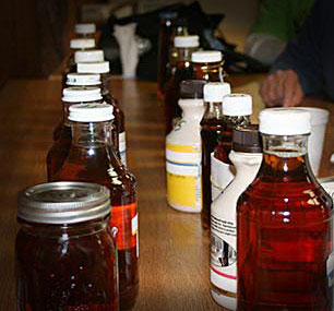 Maple Syrup Judging