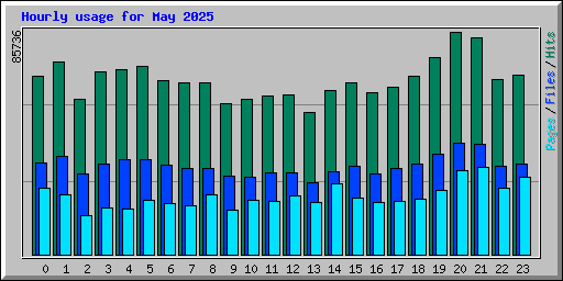 Hourly usage for May 2025