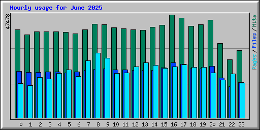Hourly usage for June 2025