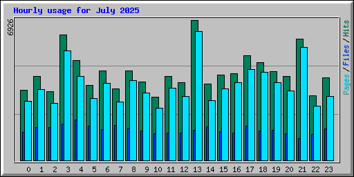 Hourly usage for July 2025