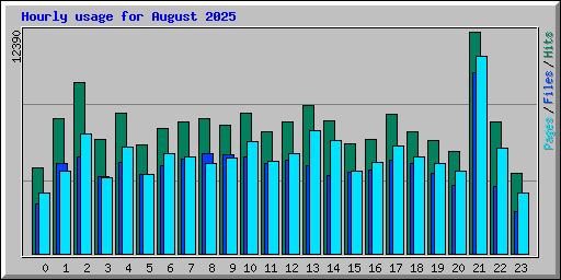 Hourly usage for August 2025